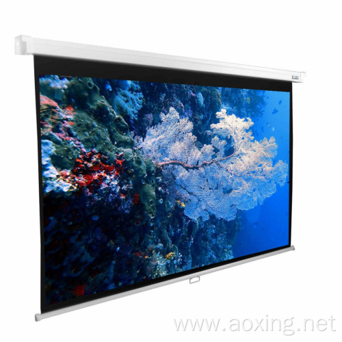 Matte white fabric ceiling hanging projection screen